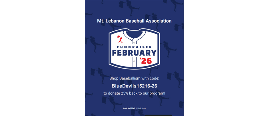 Baseballism.com Fundraiser February!